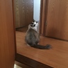 このグラデーションが大好きです。