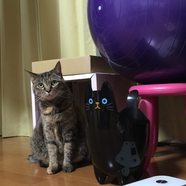 黒ネコさんと2ショット
