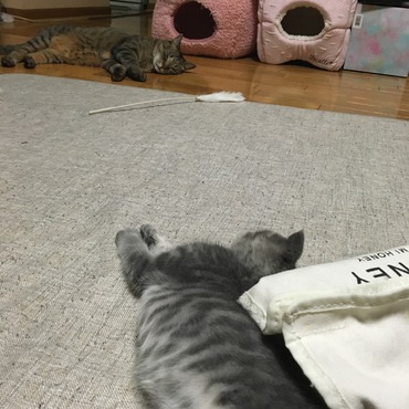 先輩との距離感は縮まりつつあり。
