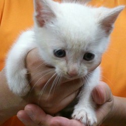 見つけました☆