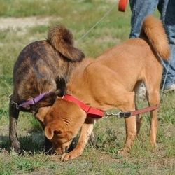 マナ＆リノ、レベルアップ！