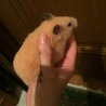 大きくなったなぁー♪