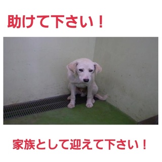 里親様に感謝致します！ありがとうございます！