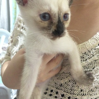 募集しています