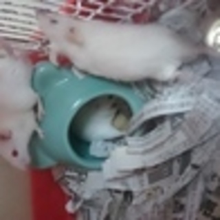 良いご縁がありました！