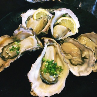 【急ぎです】4歳の三毛猫