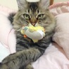 ぽてち