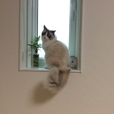 の写真