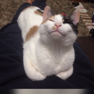 の写真