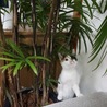 の写真