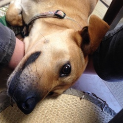 「甘えん坊」サムネイル2