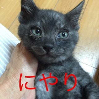 かわいい４兄妹の二男　にやり君