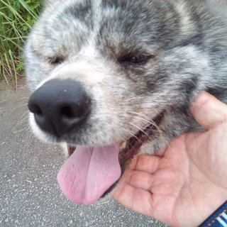まる子ちゃん　沢山のご応募ありがとうございました。