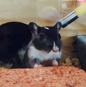 カラージャービル✩︎⡱