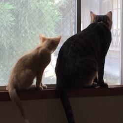 「ほのぼのとする。」サムネイル2