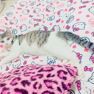 お腹に赤ちゃんが居ます！