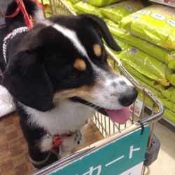 ～里親様だより～望くん編～あちこちお出かけ～