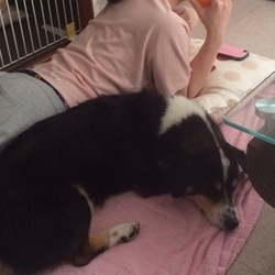 ～里親様だより～望くん編～望くん、まったりと