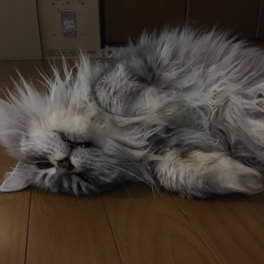 寝顔も最高❤️