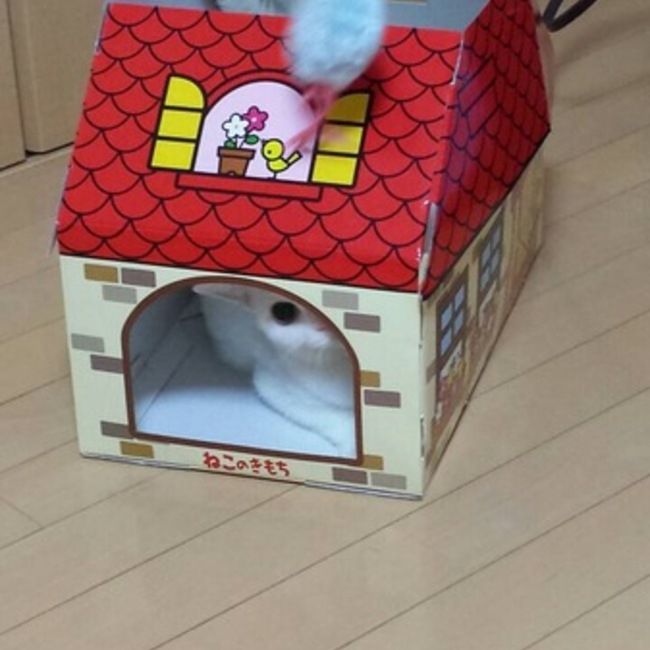 たぁ～さちのカバー写真