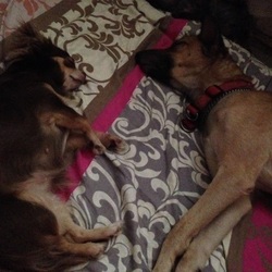 仲良しガールズトーク