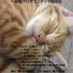 「里親会＆預かりボランティアとは？説明会」 サムネイル3