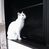の写真