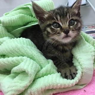 生後2ヶ月くらいの男の子