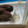 の写真