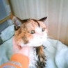 えー★すけ