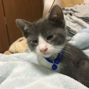 初めてお家にきたとき