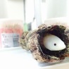 stntnさん
