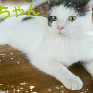 のんくんです！大人しい男の子です！