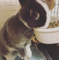 里親さん決まりました！