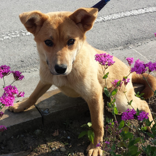 ３姉妹みんな家族が出来ました♪よかった♪感謝です