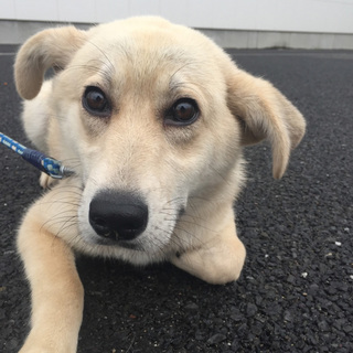 家族が出来ました〜♪