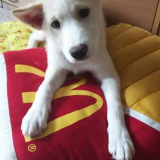 トライアル中♪