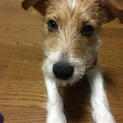 多数応募頂きありがとうございます。