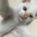 募集しています