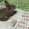 家の中ですが散歩中☆