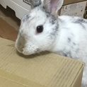 1歳6ヵ月の元気な女の子です☆