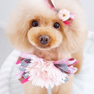 お問い合わせありがとうございました。