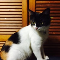 モナ