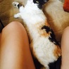 くつろぎ