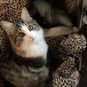 モナちゃんと仲良し