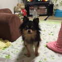 可愛い子です☆