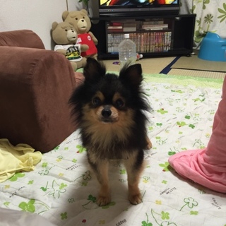 可愛い子です☆