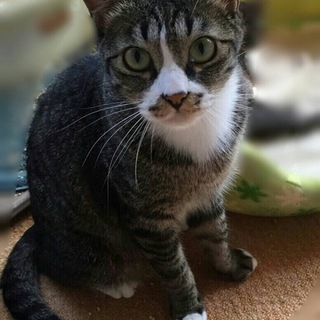 ちょっぴり人見知りな男の子
