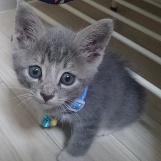 元気すぎる男子