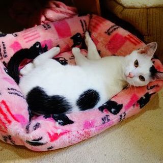 ★綺麗な顔の男の子ゆきおちゃん★